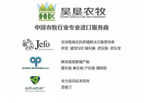 昊墾農牧調查 如何解決2019年家禽養(yǎng)殖業(yè)面臨的最大挑戰(zhàn)